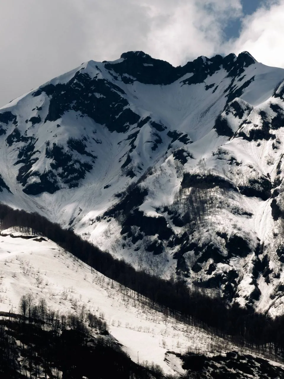SOCHI CAMP — фотография 17